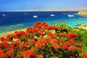Tourist attractions in Sharm el-Sheikh, Egypt