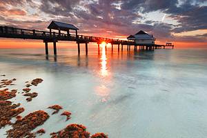 19 Top-Rated Tourist Attractions in St. Petersburg, FL