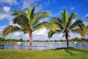 12 Top-Rated Things to Do in Coconut Creek, FL