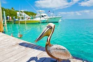 Florida in Pictures: 15 Beautiful Places to Photograph