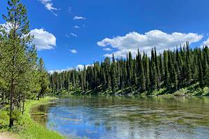7 Best National Forests in Idaho