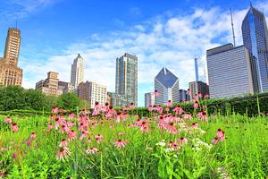 Chicago's Best Parks