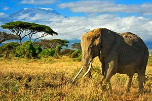 16 Top-Rated Tourist Attractions in Kenya