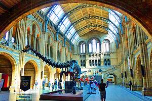 7 Things to See and Do at London's Natural History Museum