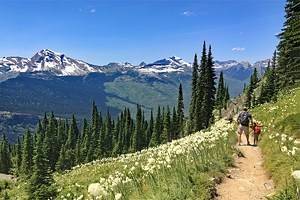 Best Hiking Trails in Montana