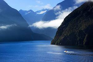 Fiordland National Park: Top Hikes & Things to Do