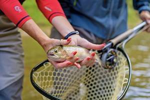 North Carolina's Top Trout Fishing Rivers