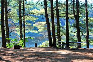 9 Best Campgrounds in Algonquin Provincial Park