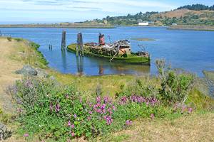 13 Top-Rated Things to Do in Gold Beach, OR