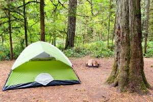 Best Campgrounds near Portland