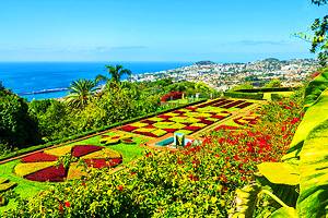 16 Top-Rated Tourist Attractions in Funchal