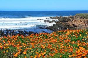 18 Top-Rated Day Trips from San Luis Obispo, CA