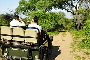 Exploring Kruger National Park: A Visitor's Guide