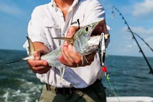4 Top-Rated Places for Deep Sea Fishing in South Carolina