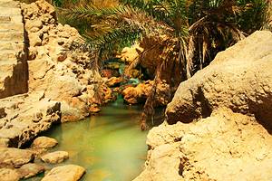 Exploring Tozeur's Oasis: A Visitor's Guide