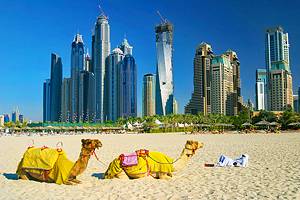 Dubai's Best Beaches