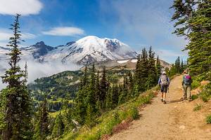 Top Hikes in Mount Rainier National Park