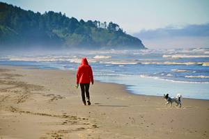 Washington State's Best Beaches