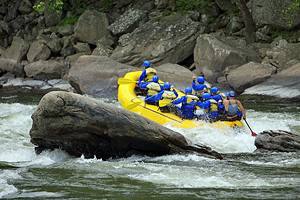West Virginia's Top Rivers for Whitewater Rafting