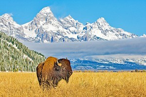 Wyoming in Pictures: 23 Beautiful Places to Photograph
