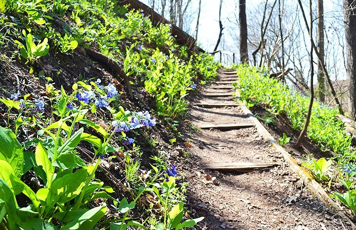 Clegg Botanic Gardens trail