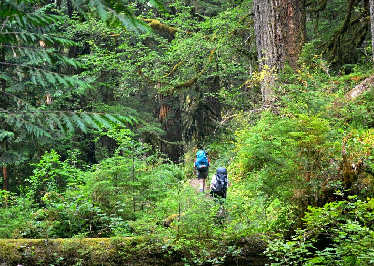 Hikers on the Hoh River Trail