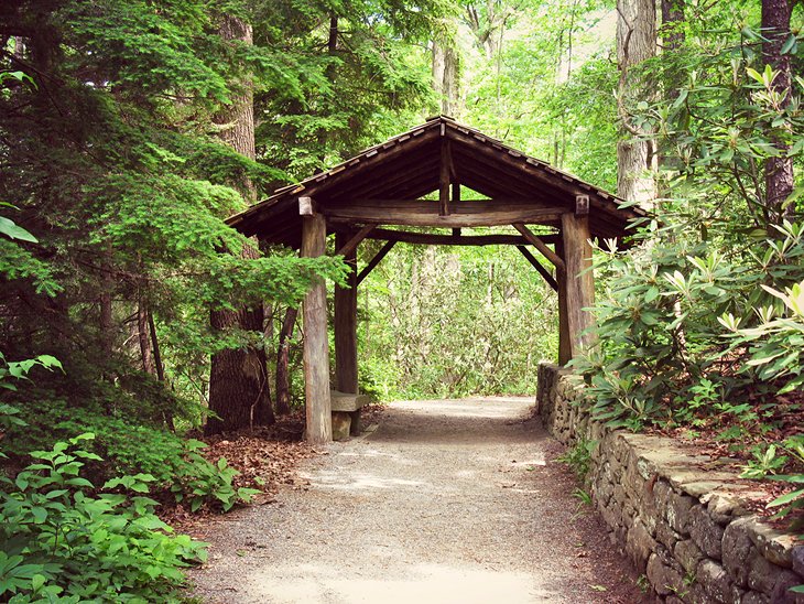 Old covered bridge in the Botanical Gardens of Asheville