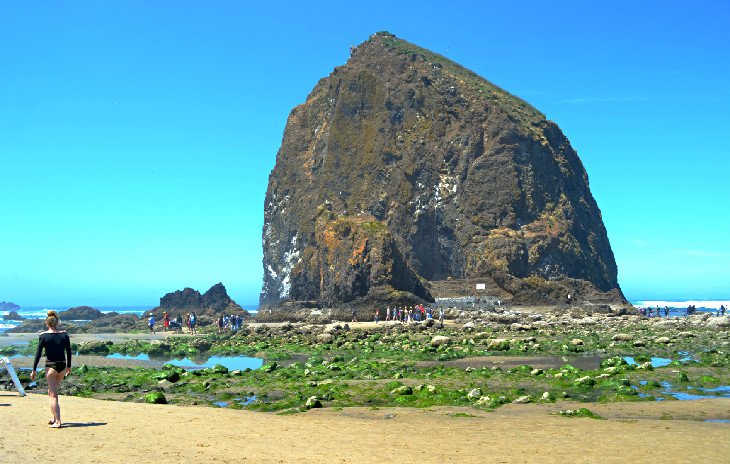 Haystack Rock at Cannon Beach during low tide