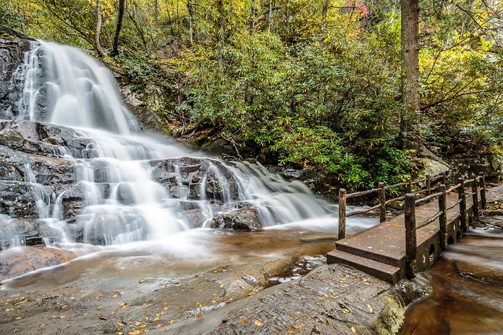 Waterfalls in Great Smoky Mountains National Park