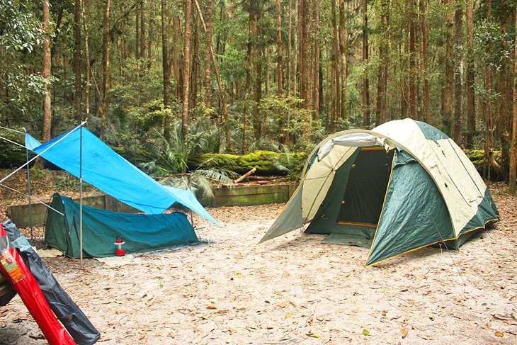 Camping in the forest on Fraser Island