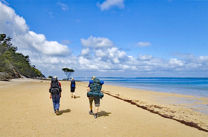 Fraser Island Great Walk