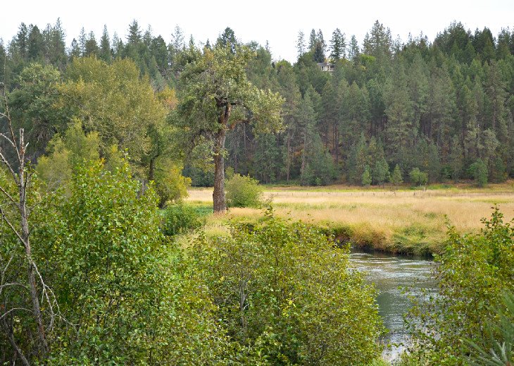 Little Spokane River Natural Area