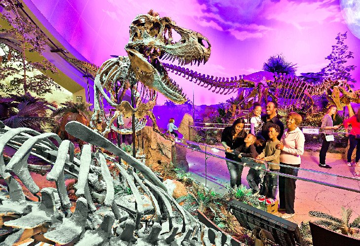 Dinosphere exhibit at The Children's Museum