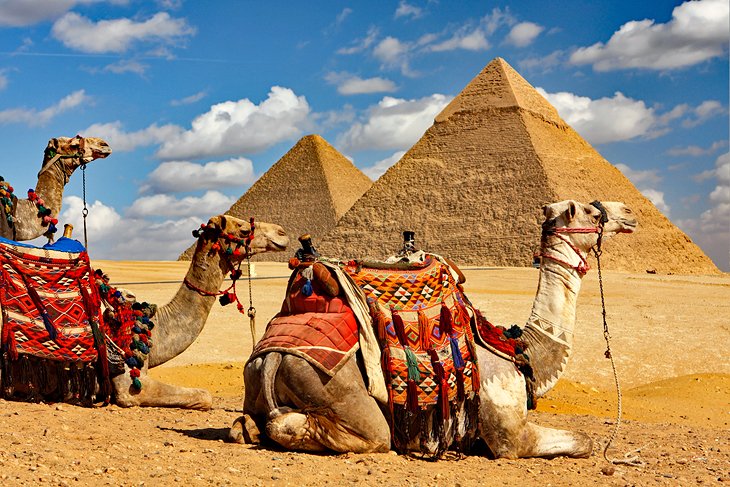 Camel rides at the Pyramids