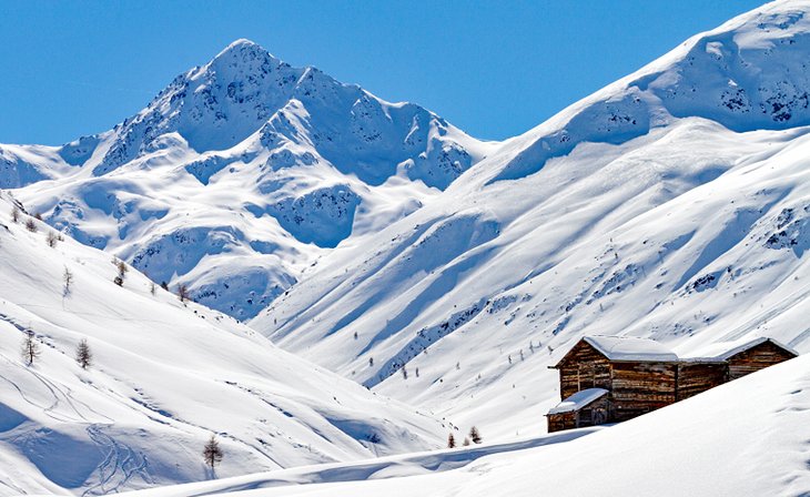 Fresh powder at Livigno