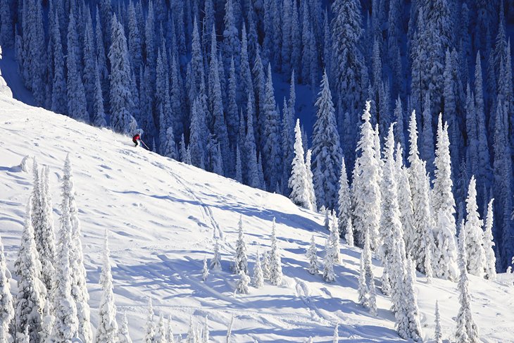 A skier carving up fresh powder on Whitefish Mountain.