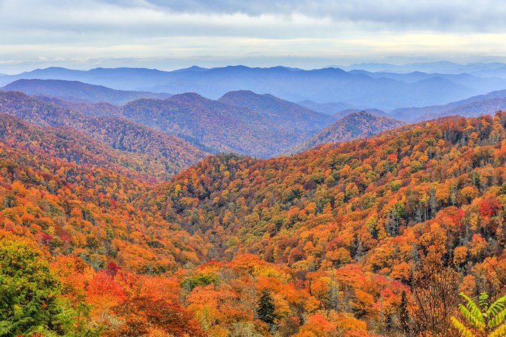 Fall foliage in Great Smoky Mountains National Park