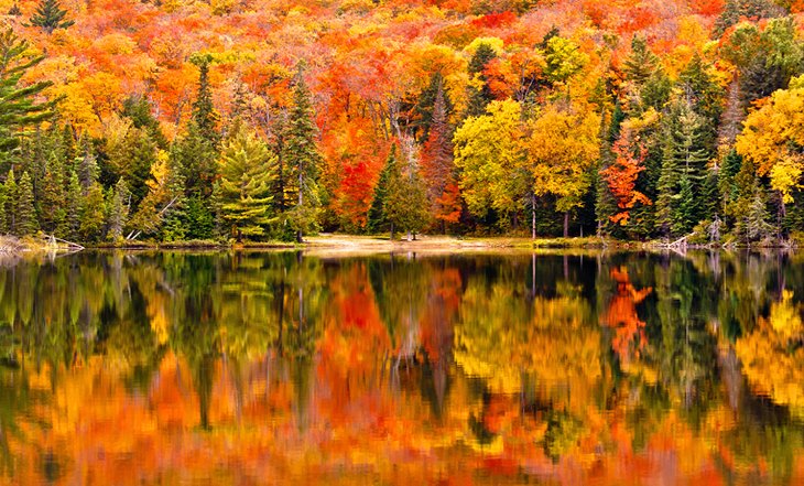 Fall colors in Algonquin Provincial Park