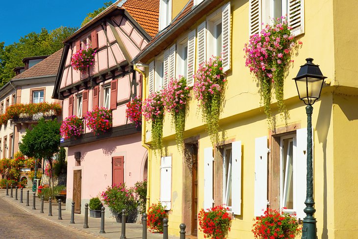 Ribeauvillé historic houses with floral displays