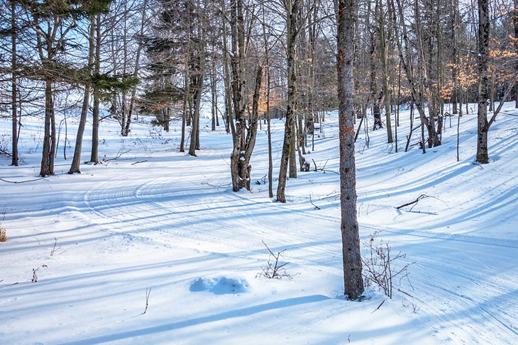 Cross-country ski trails through the Vermont woods