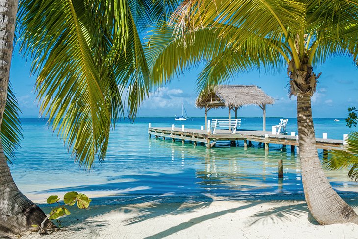 Dock and palm trees in Belize