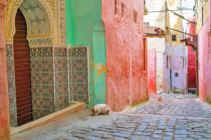 Colorful buildings in the Meknes Medina