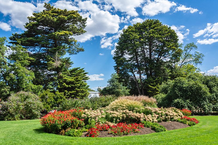 Castlemaine Botanical Gardens