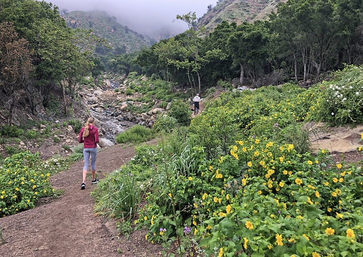 Hikers on the San Ysidro Trail