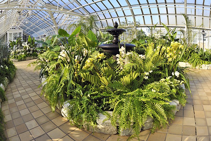 Plants inside the Franklin Park Conservatory