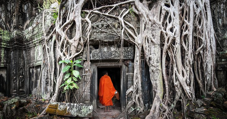 A buddhist monk at Ta Prohm Temple, Angkor Wat