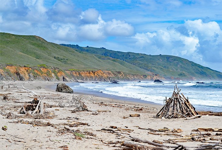 The beach at Andrew Molera State Park