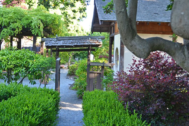 Shinn Historical Park Japanese Garden