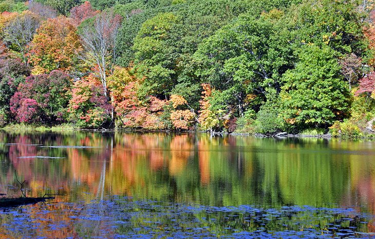 Fall foliage along the Connecticut River, Chester