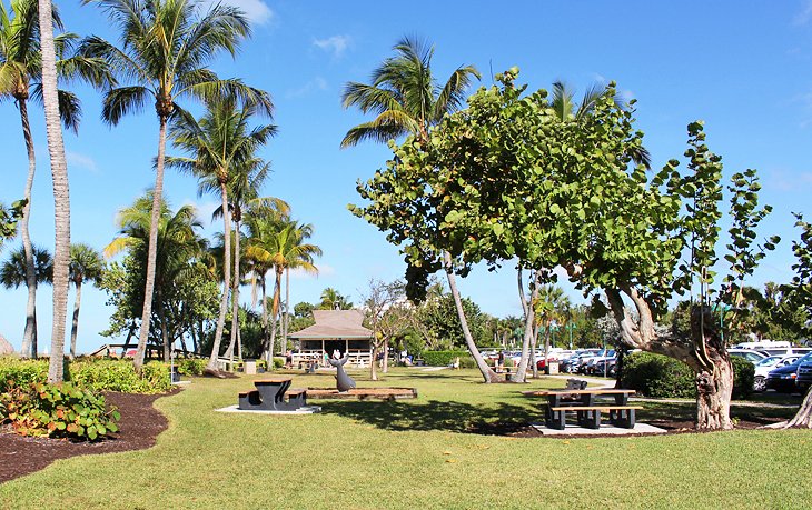Parking and picnic area at Lowdermilk Park